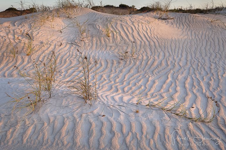 Cape Leveque sand dune